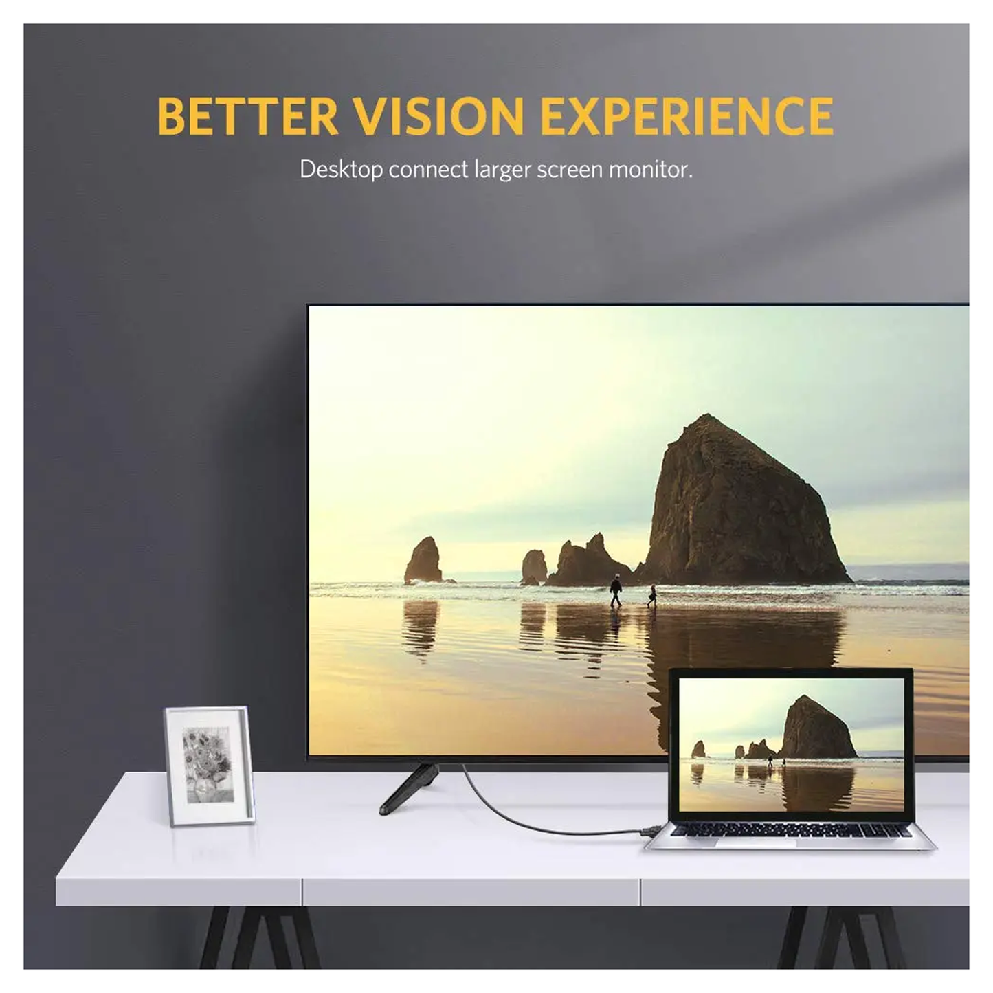 UGREEN DVI-D 24+1 Dual Link Male to Male Digital Video Cable - DV101