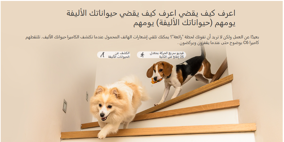كاميرا ايزفيز 8 ميجا بكسل داخلي -C6C