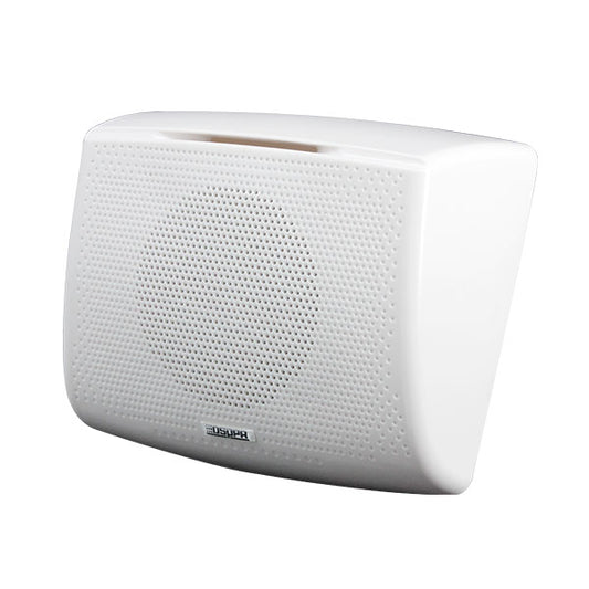 DSPPA 10W Wall Mount Speaker -DSP117