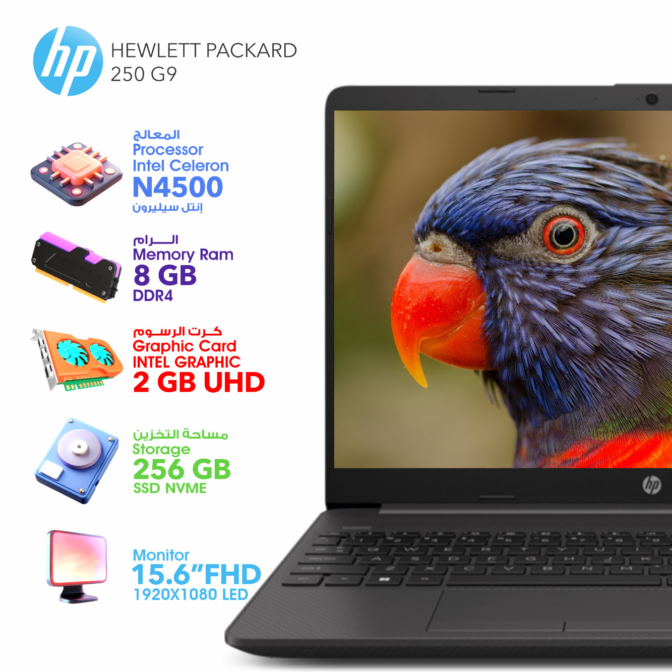 لابتوب HP 250 G9، معالج Celeron، ذاكرة وصول عشوائي (RAM) سعة 8 جيجابايت، ومحرك أقراص SSD سعة 256 جيجابايت